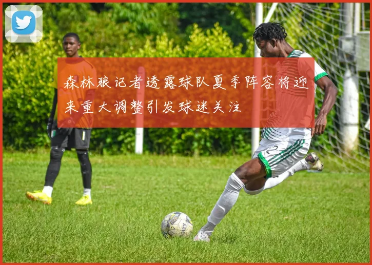 森林狼记者透露球队夏季阵容将迎来重大调整引发球迷关注