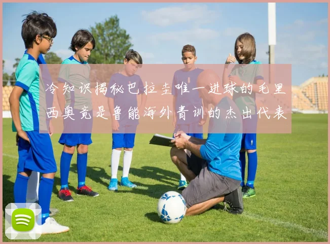 冷知识揭秘巴拉圭唯一进球的毛里西奥竟是鲁能海外青训的杰出代表