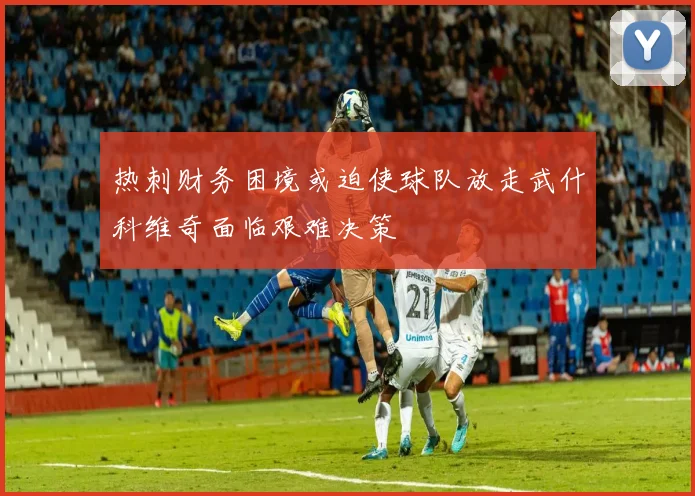 热刺财务困境或迫使球队放走武什科维奇面临艰难决策
